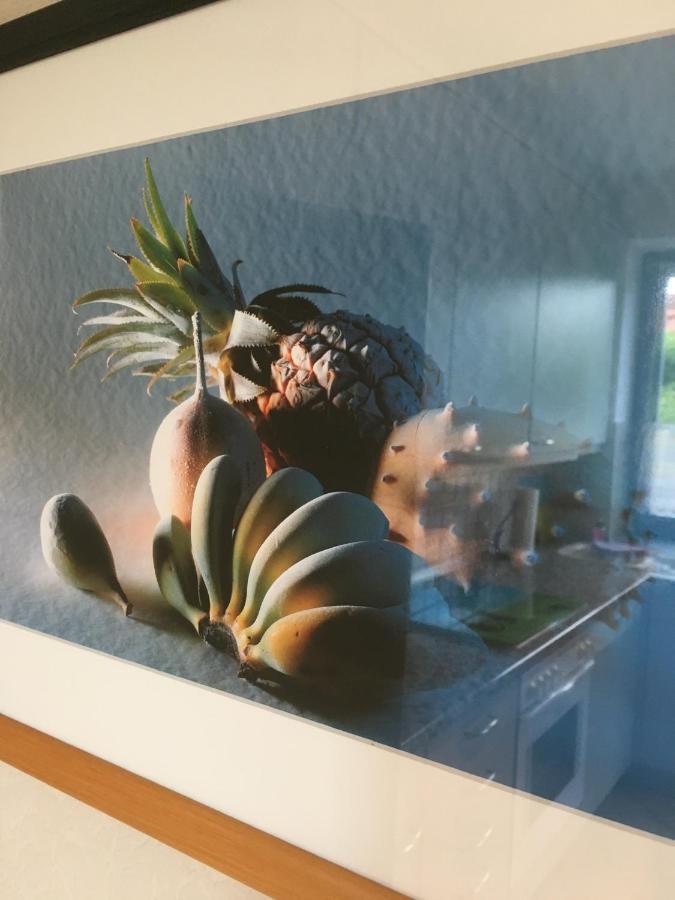 Haus Rose Lägenhet Ribnitz-Damgarten Exteriör bild